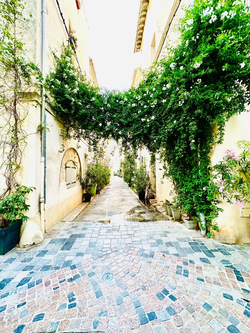 Séjour sur Arles, location saisonnière Sud de la France, location logement en Camargue. Vacances Arles, vacances Camargue